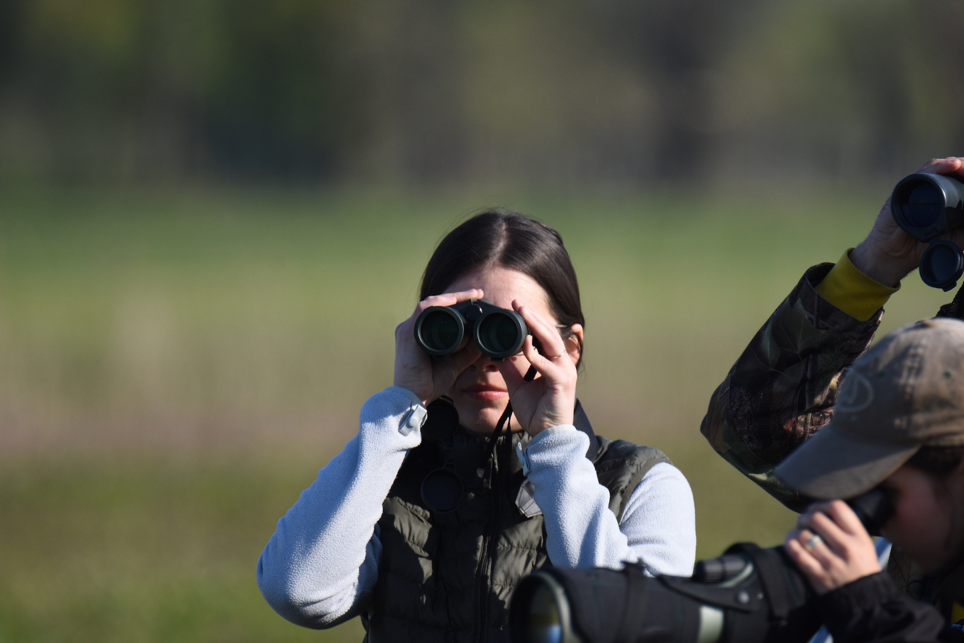 Ornimokyklos dienoraštis. Ketvirta pamoka – pažintis su tilvikais ...