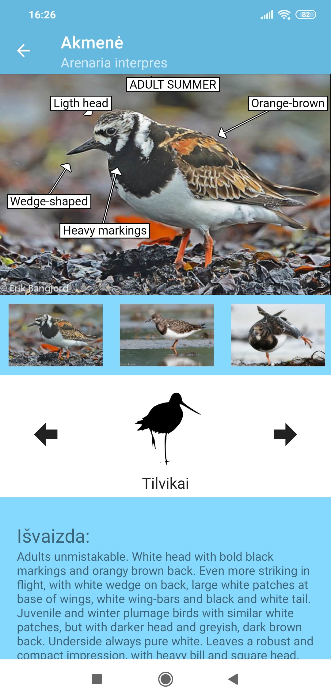 Screenshot_2019-09-05-16-26-10-128_phoot.pimms.hintbird
