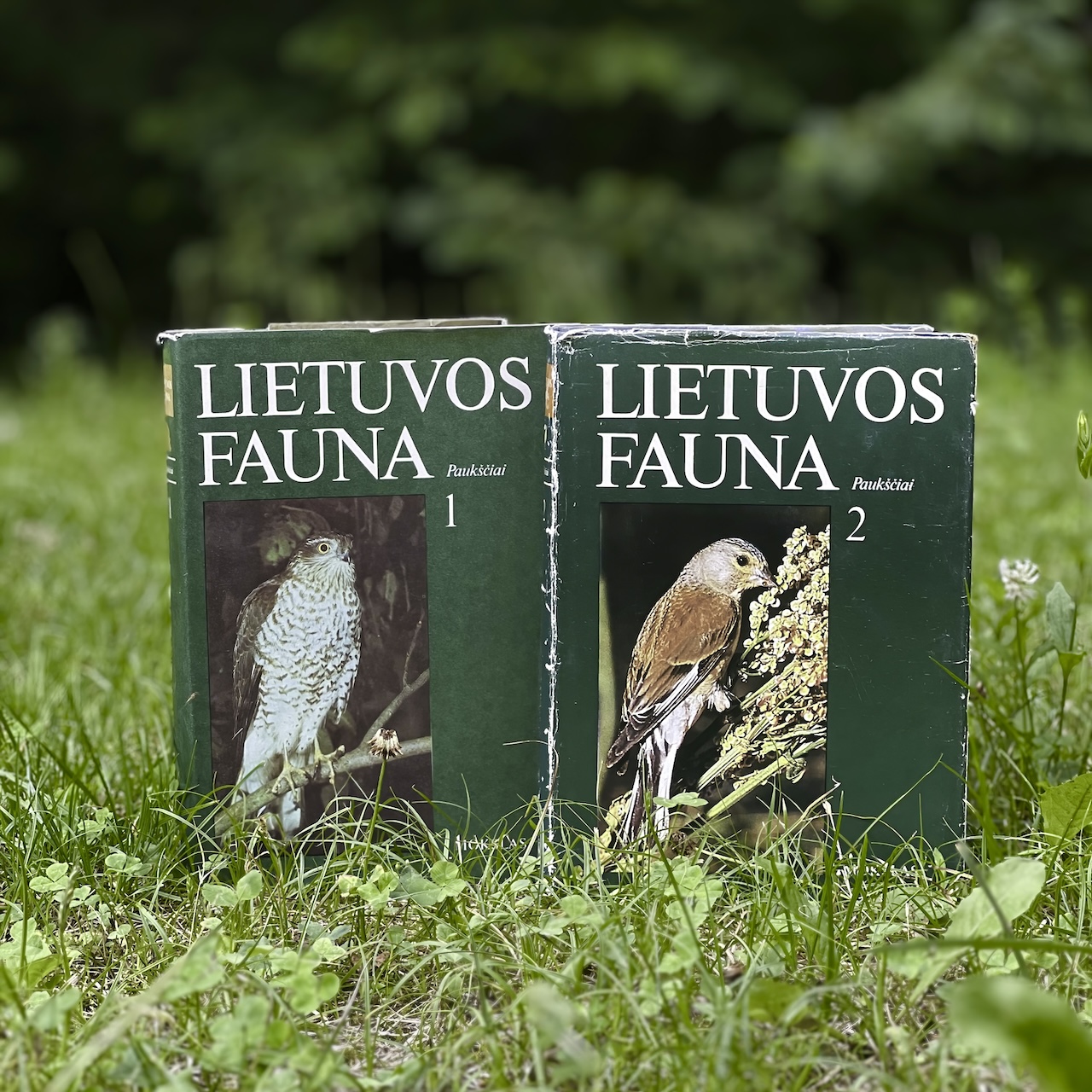 Spaudai rengiamas naujas legendinės knygos „Lietuvos fauna. Paukščiai“ leidimas